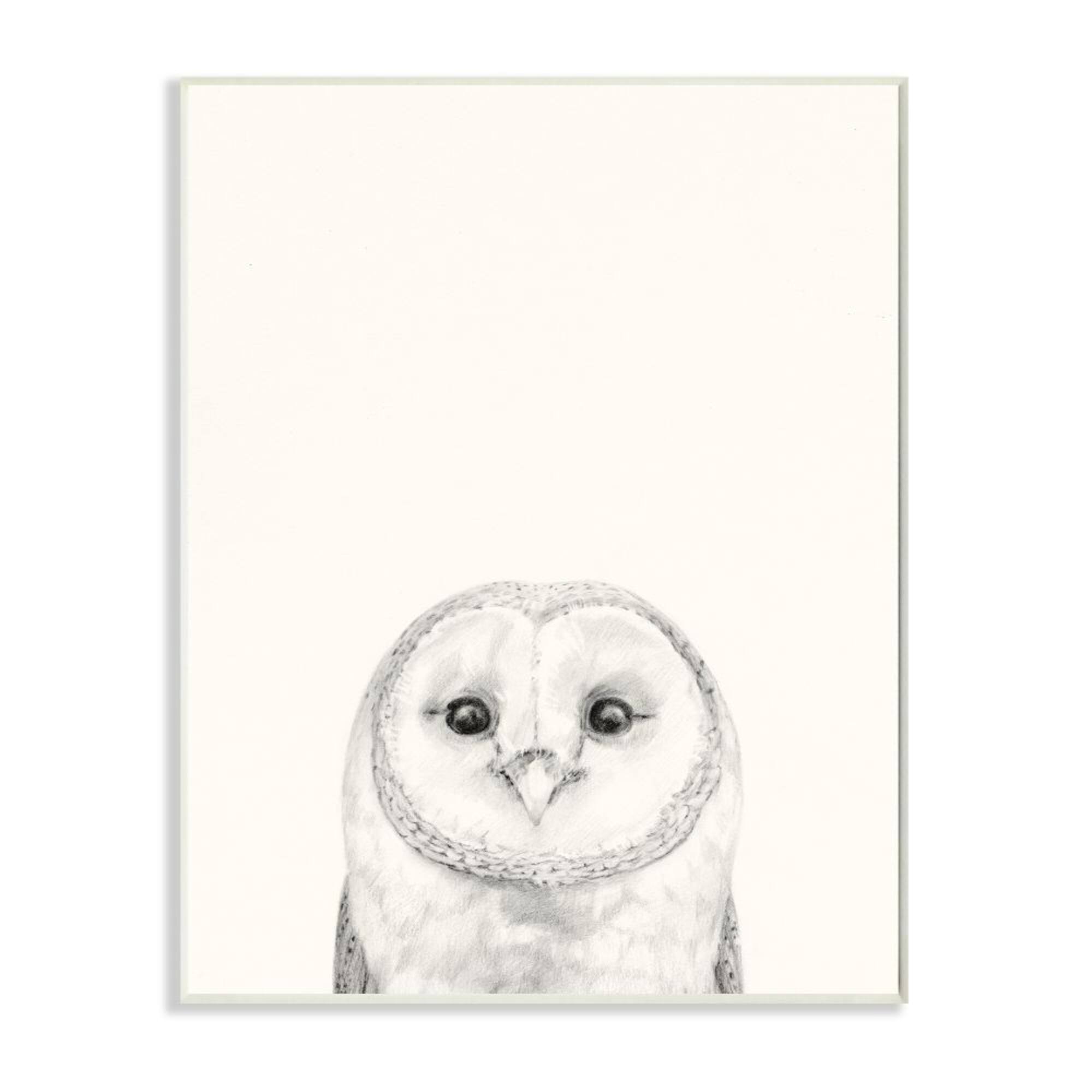 Stupell Industries Owl Portrait Grey Drawing Design Wood Wall Plaque